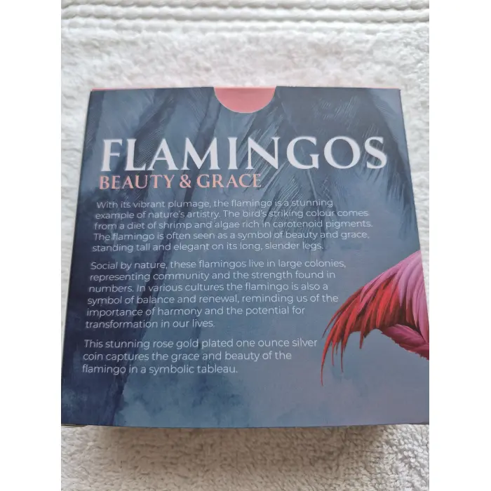 2025 Flamingo 🦩 Silver Proof 