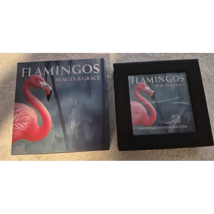 2025 Flamingo 🦩 Silver Proof 