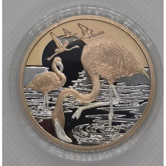2025 Flamingo 🦩 Silver Proof 