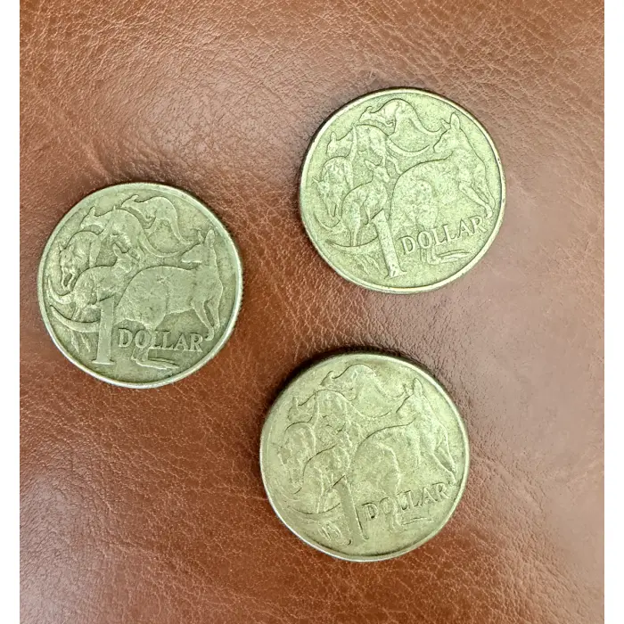 2000  Mob of Roos 