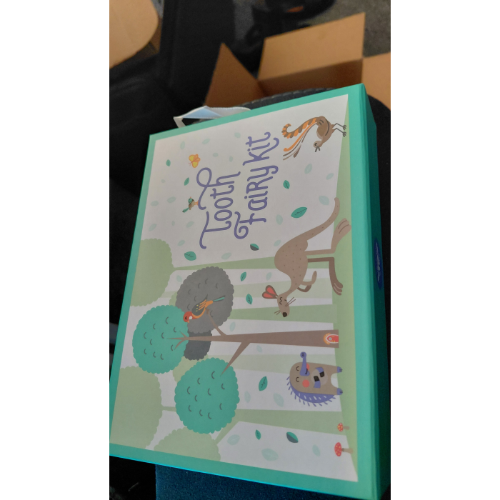 2024 $2 Tooth fairy kit