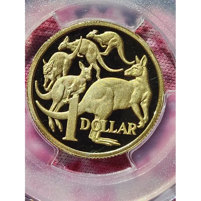*TOP POP* 2025 Pr70dcam $1