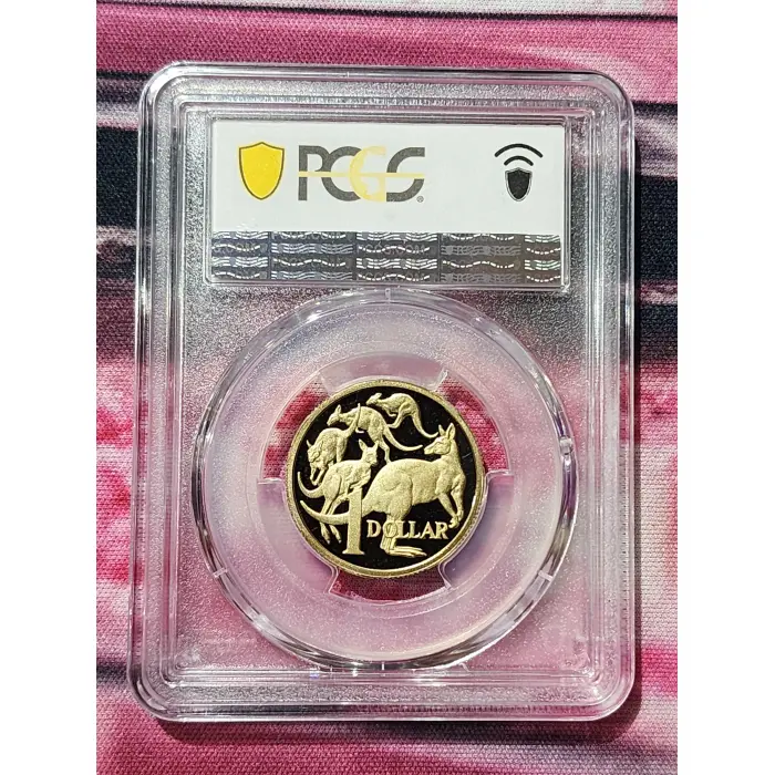 *TOP POP* 2025 Pr70dcam $1