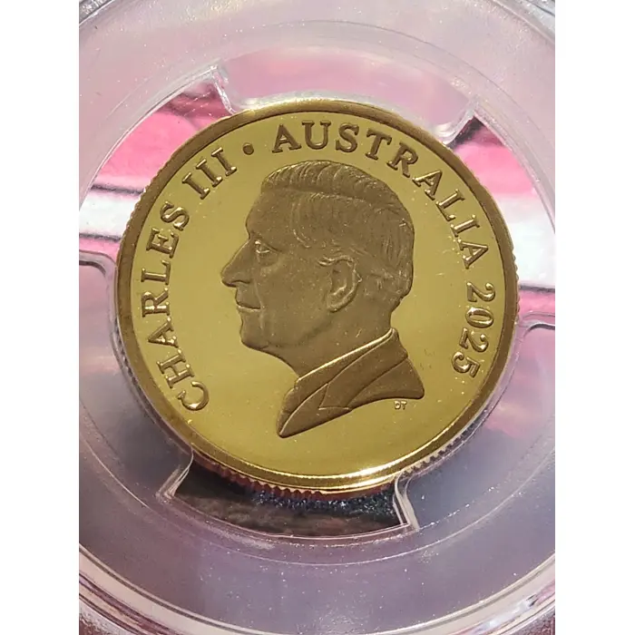 *TOP POP* 2025 Pr70dcam $1