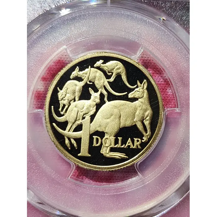 *TOP POP* 2025 Pr70dcam $1