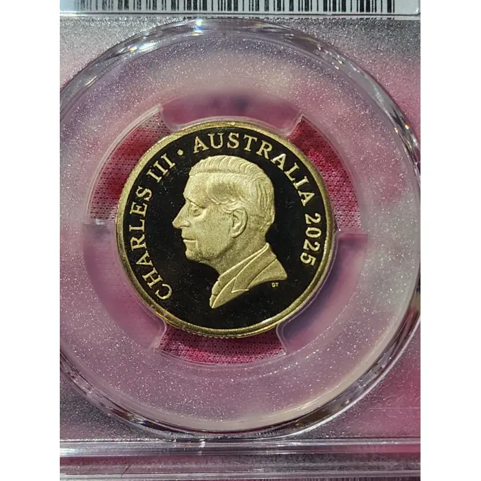 *TOP POP* 2025 Pr70dcam $1