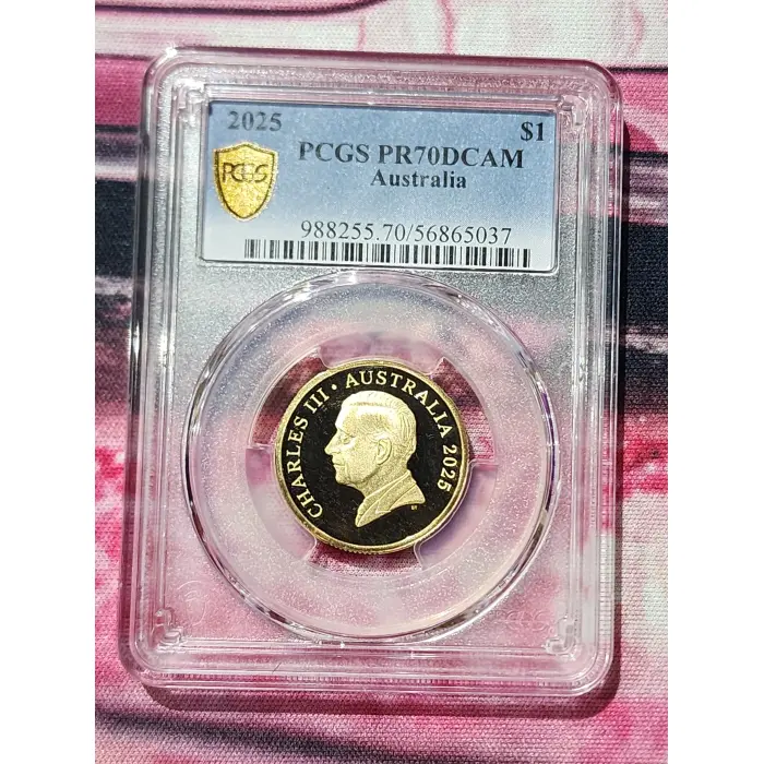 *TOP POP* 2025 Pr70dcam $1