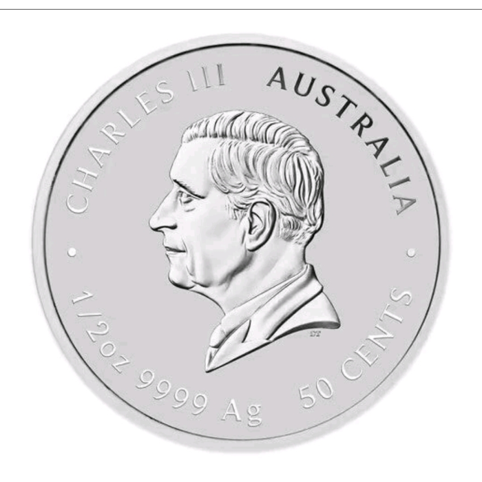 2025 Perth Mint  Lunar Snake 1/2oz Silver  Coloured Coin