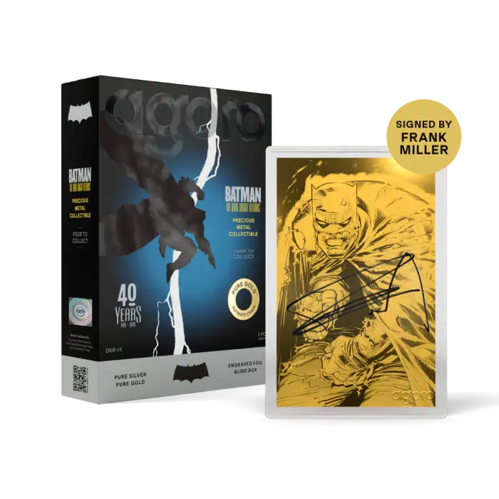 BATMAN: THE DARK KNIGHT RETURNS™ - Blind Box