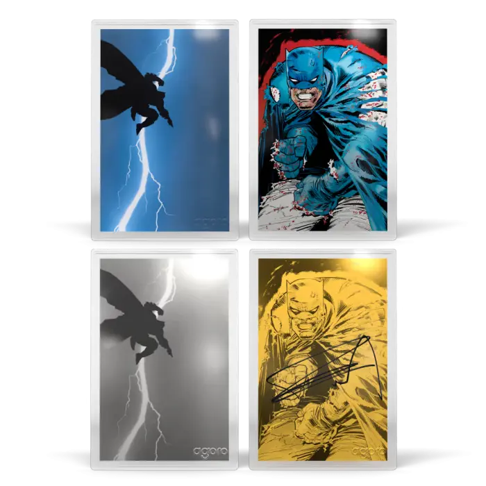 BATMAN: THE DARK KNIGHT RETURNS™ - Blind Box