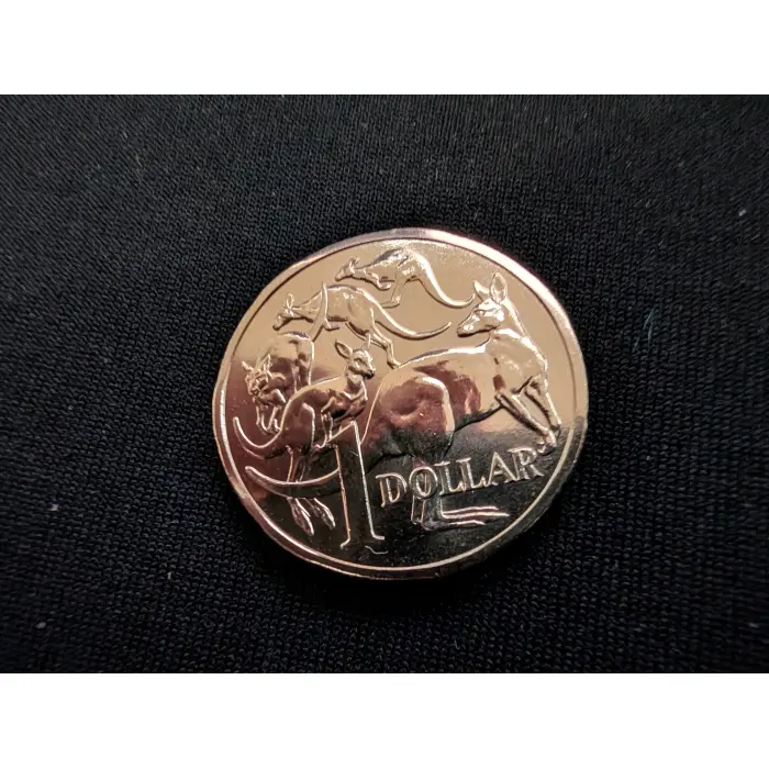 2025 $1 Mob of Roos UNC coin