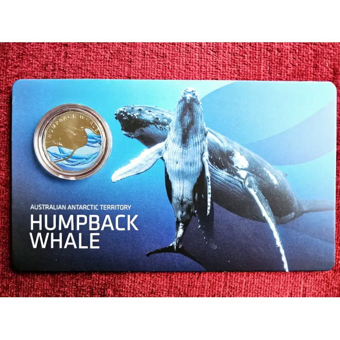 🐋 2023 Fifty Cent 50c Aust Antarctic Territory  Humpback Whale  Unc Coloured 💦