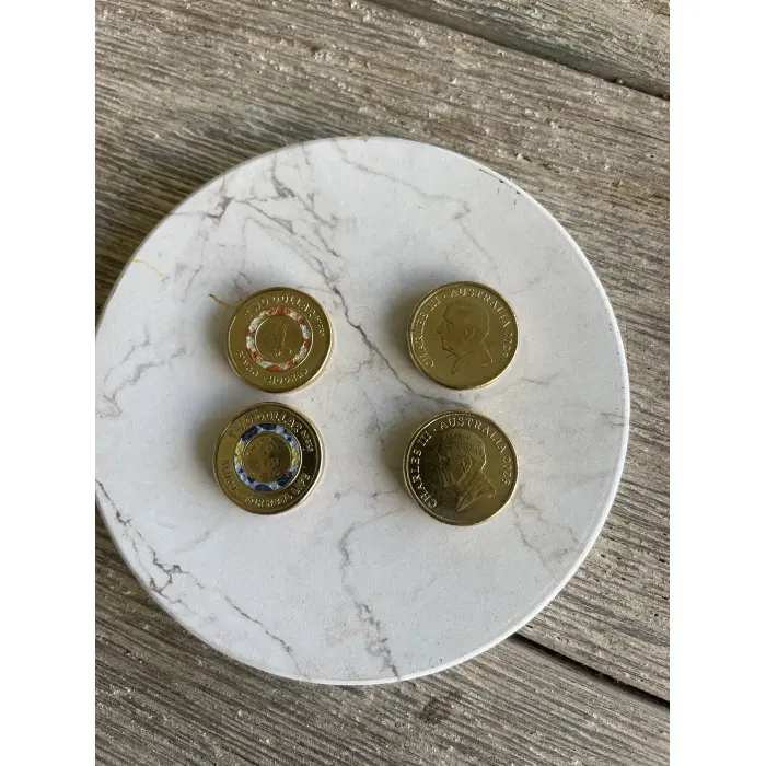Bluey collectable Coloured Change Coins. 