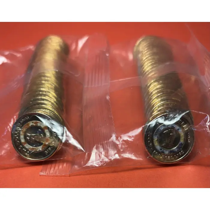 2026 Bluey and Bingo Pair of RAM Bags (Coloured Till Coins) in Guardhouse Tubes