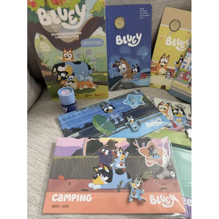 2026 - BIG BLUEY BUNDLE.  Check description for what’s included. 