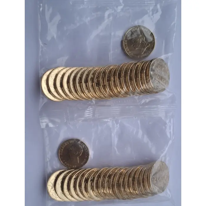 2025 $1 Aussie Big Things 2-  2 x TILL Bag Set (40 x $1 coins)