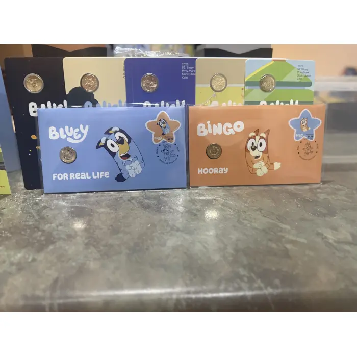 Ultimate 2026 Bluey Collection