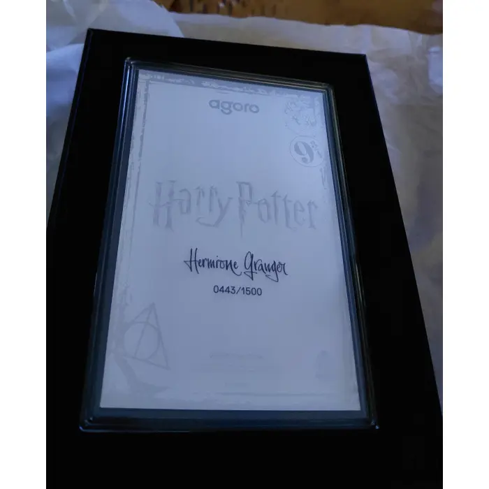 5g Silver Foil, " Hermione Granger" from the Harry Potter Series