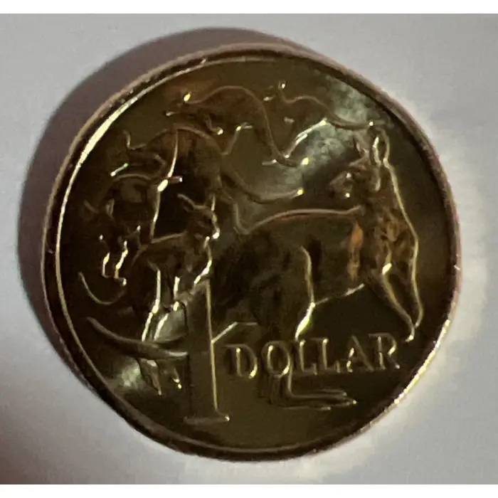 6 Kangaroos. 2026 $1 coin 6 mob of Roos. Circulated full shine coin