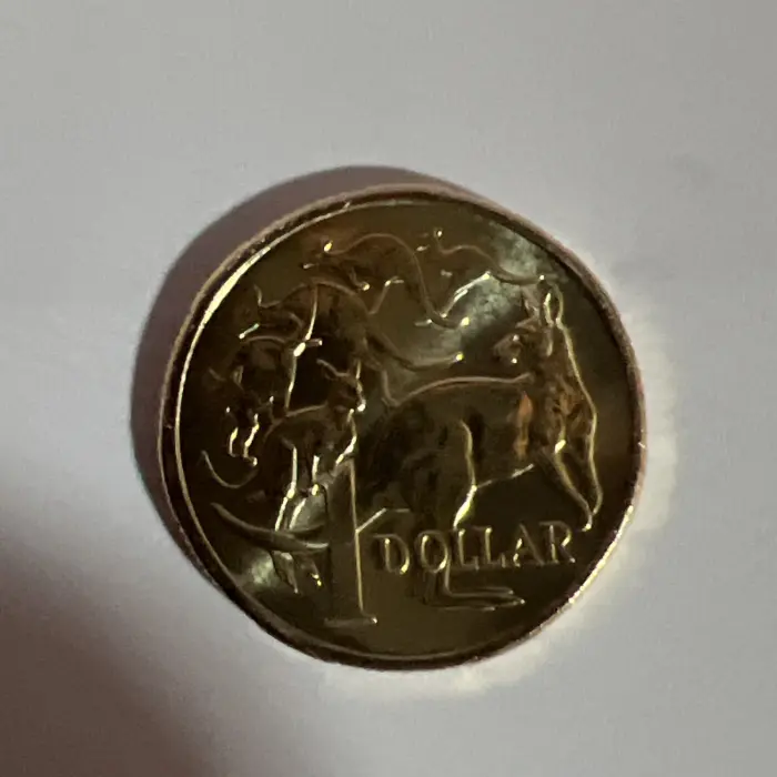 6 Kangaroos. 2026 $1 coin 6 mob of Roos. Circulated full shine coin