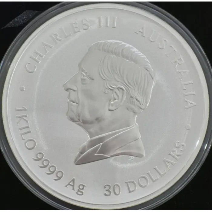2025 Year Of The Snake 1kg