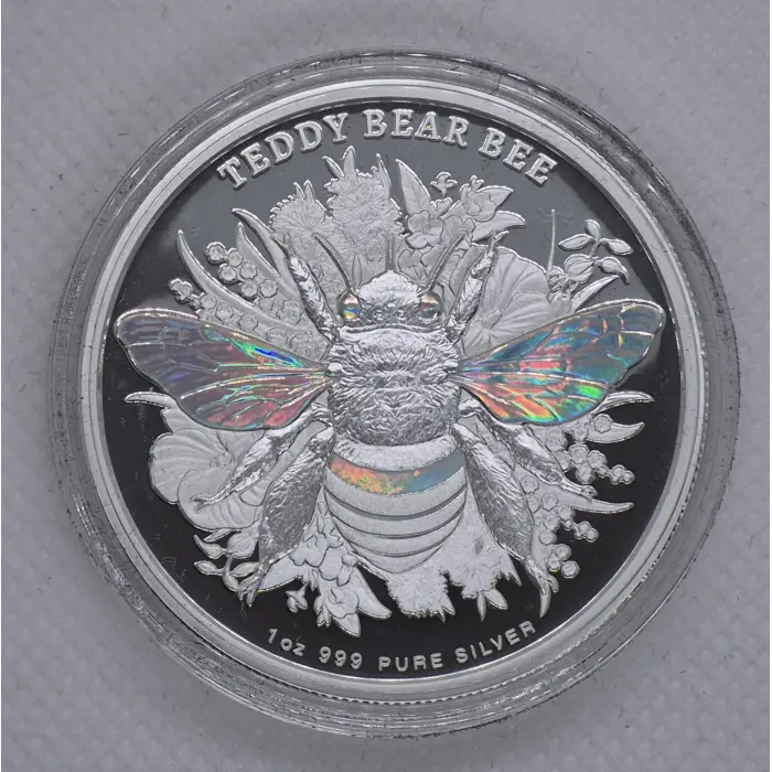 2026 Native Bees Teddy Bear 🐝🐝