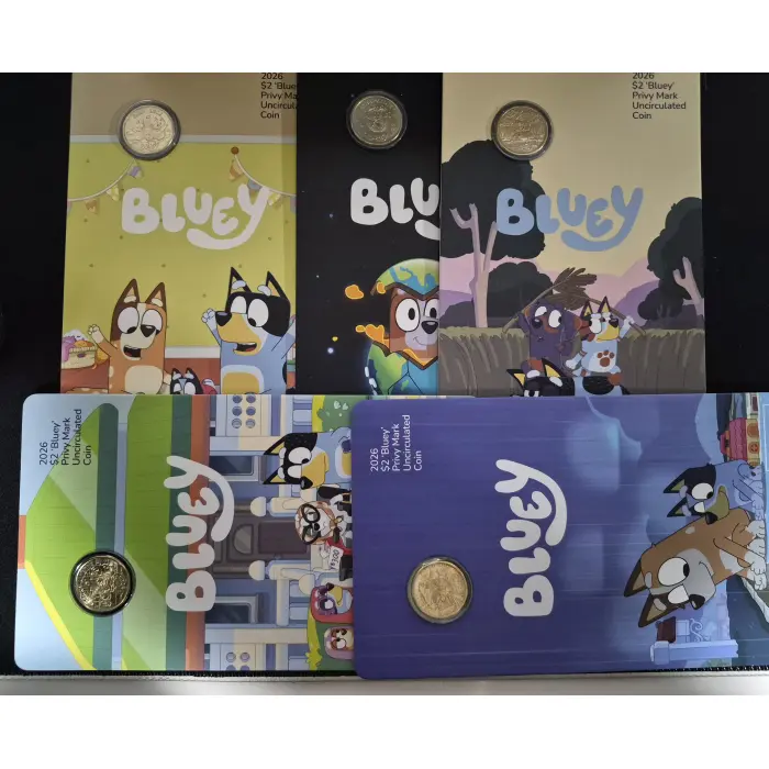 2026 Bluey Bundle