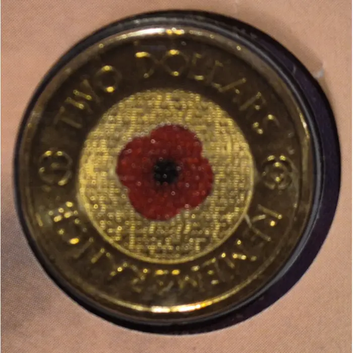 2012 Remembrance Day Red Poppy PNC 