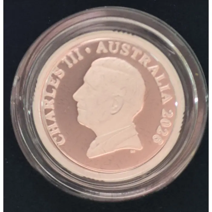 2026 Bluey Silver Coloured Proof 