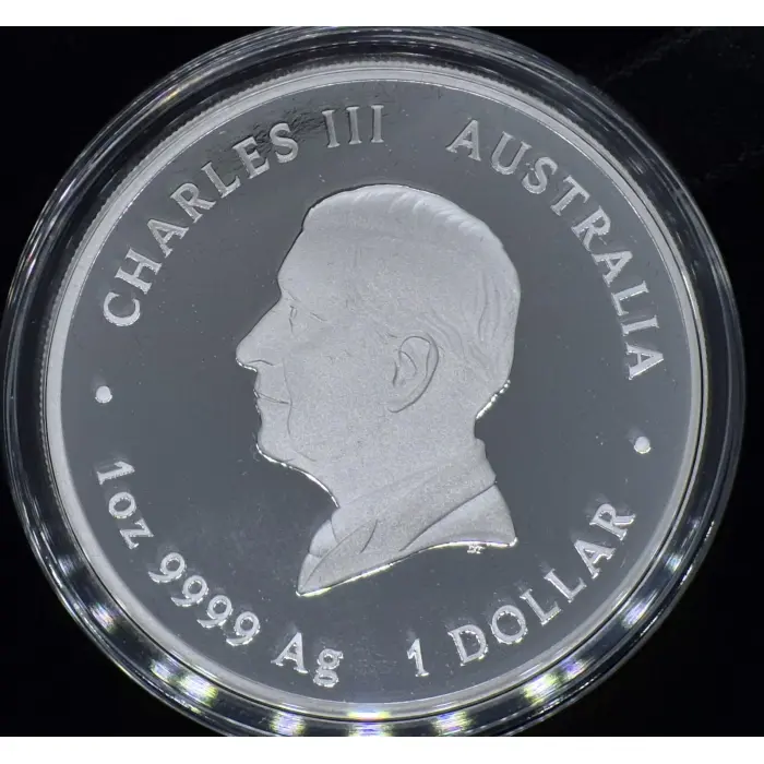 2025 Year of The Snake 🐍 Lunar Series 111