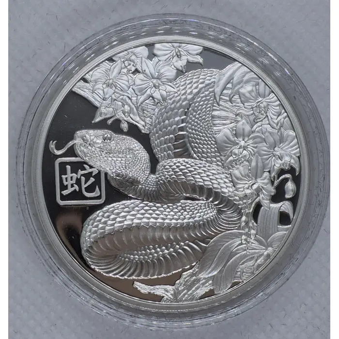 2025 Year of The Snake 🐍 Silver