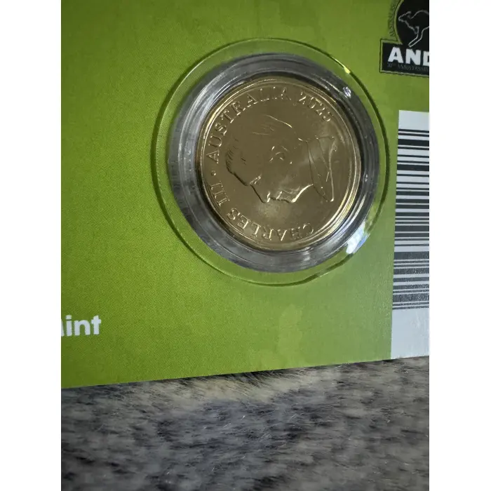 2025 $1 'Mob of Roos' Brisbane Money Expo ANDA coin