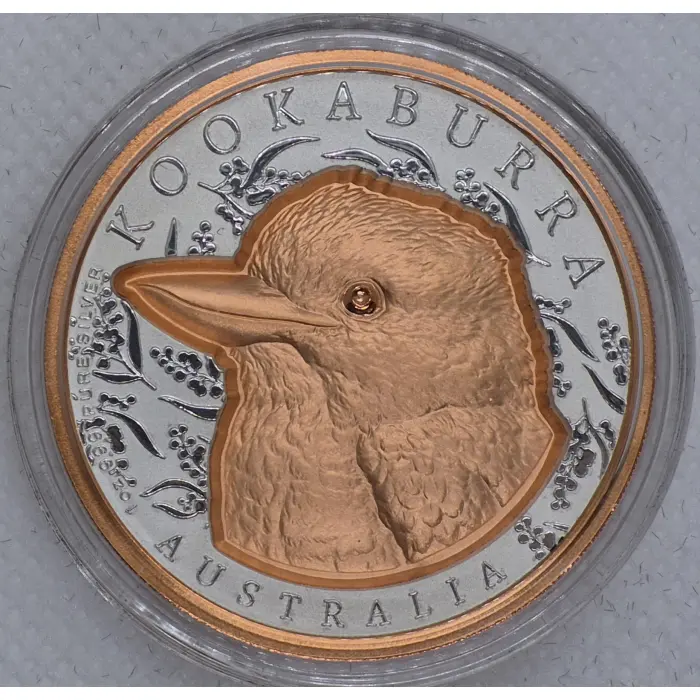 2025 Native Impressions Kookaburra 