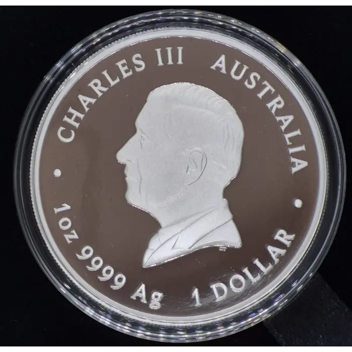 2026 Year Of The Horse 🐎  1oz Coloured 