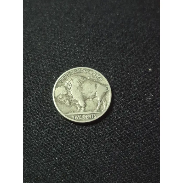 1929 BUFFALO NICKEL USA 🇺🇸 