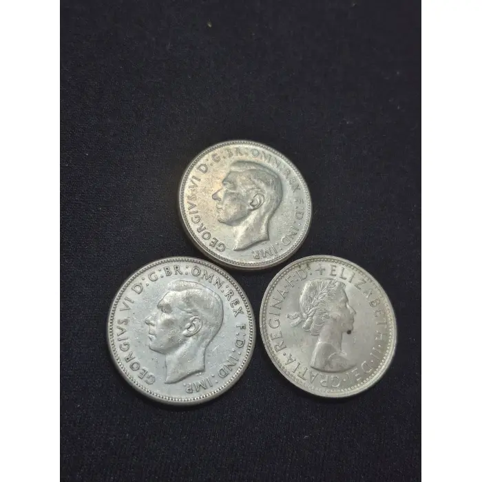 BULK SILVER FLORINS!