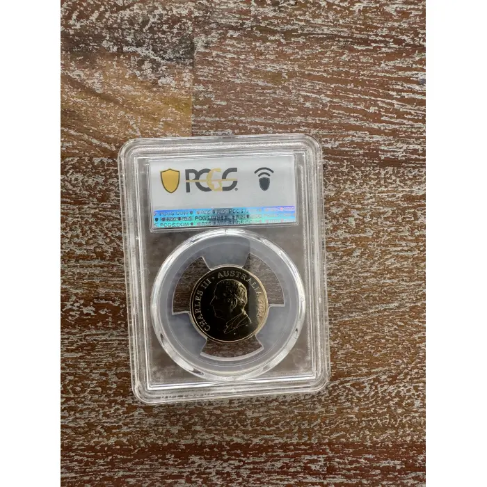  2025 $1 Bluey Christmas  PCGS MS69