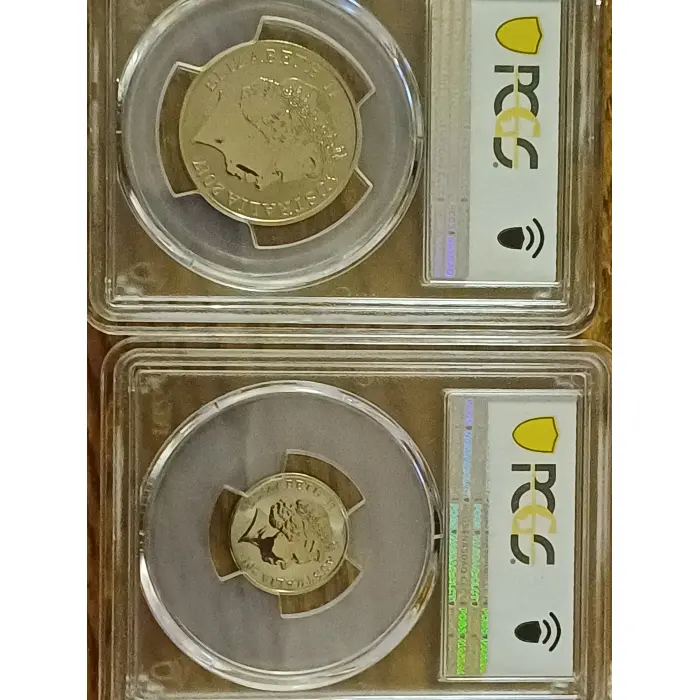 Banannas in Pyjamas frosted coin set