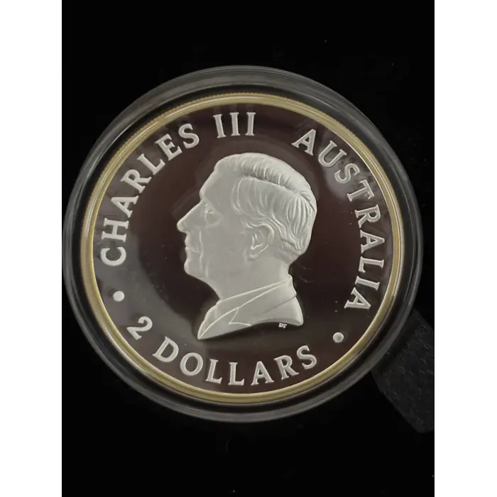 2025 35th Anniversary 2oz  Silver High Relief  Gold Gilded Proof finish Coin 