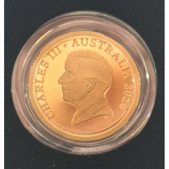 2026 Bluey Coloured Proof Coin