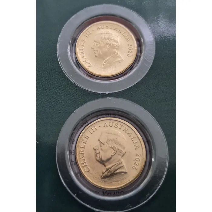 2025 Wallabies and Wallaroos Carded set