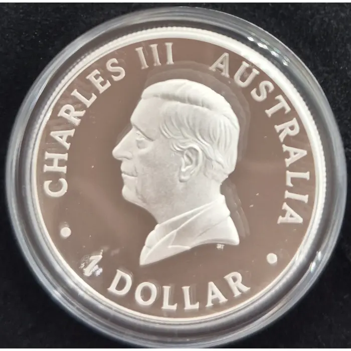 2026 Kangaroo HR Coloured Coin
