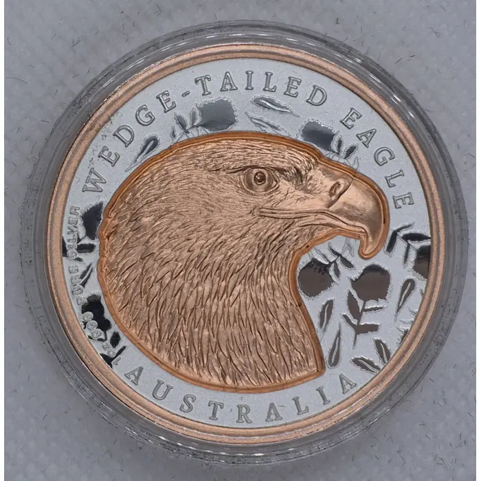 2026 Native Impressions Wedge Tailed Eagle