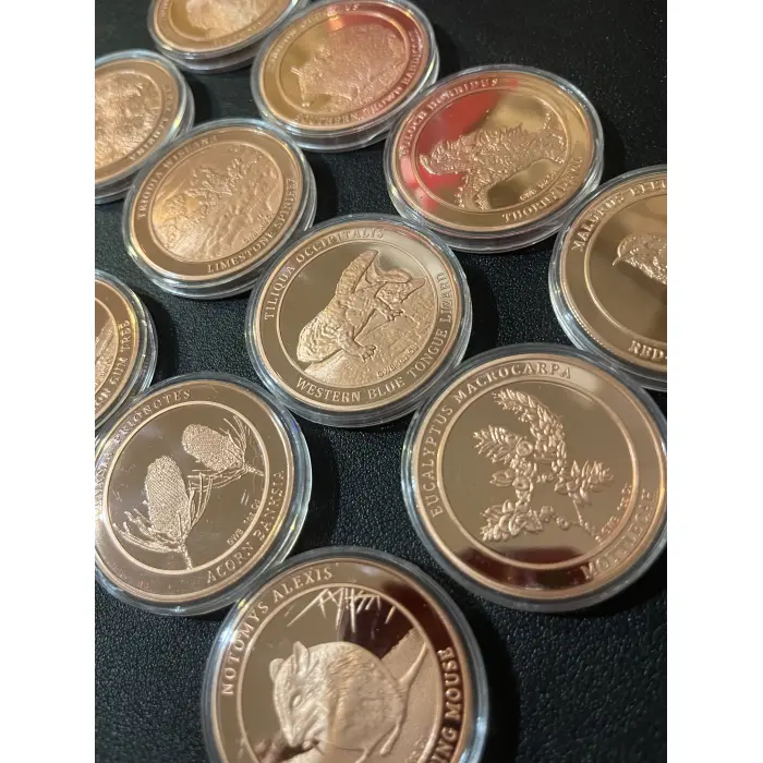 12 x 1 oz copper rounds - Animals, nature and plants GWB inc bee, lizard & more