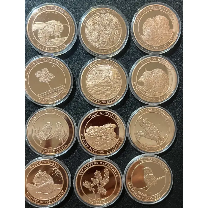 12 x 1 oz copper rounds - Animals, nature and plants GWB inc bee, lizard & more