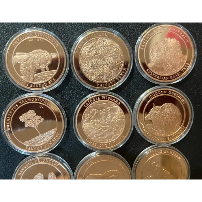 12 x 1 oz copper rounds - Animals, nature and plants GWB inc bee, lizard & more