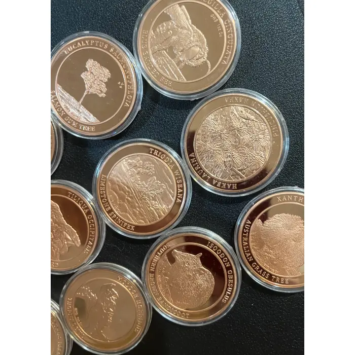 12 x 1 oz copper rounds - Animals, nature and plants GWB inc bee, lizard & more