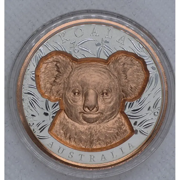 2025 Native Impressions Koala
