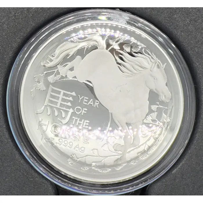 2026 Year of The Horse 🐎 Domed