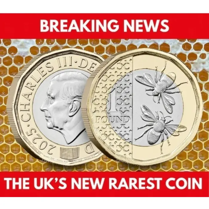 2025 £1 ONE POUND honeybee  RARE LOW MINTAGE KING CHARLES UNC BEES COIN FROM A 
